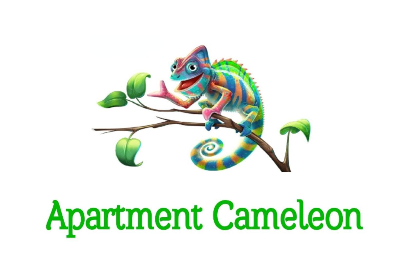 Apartment Cameleon ドゥブロブニク エクステリア 写真